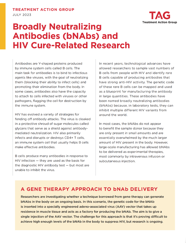 Cover of the report Broadly Neutralizing Antibodies (bNAbs) and HIV Cure-Related Research
