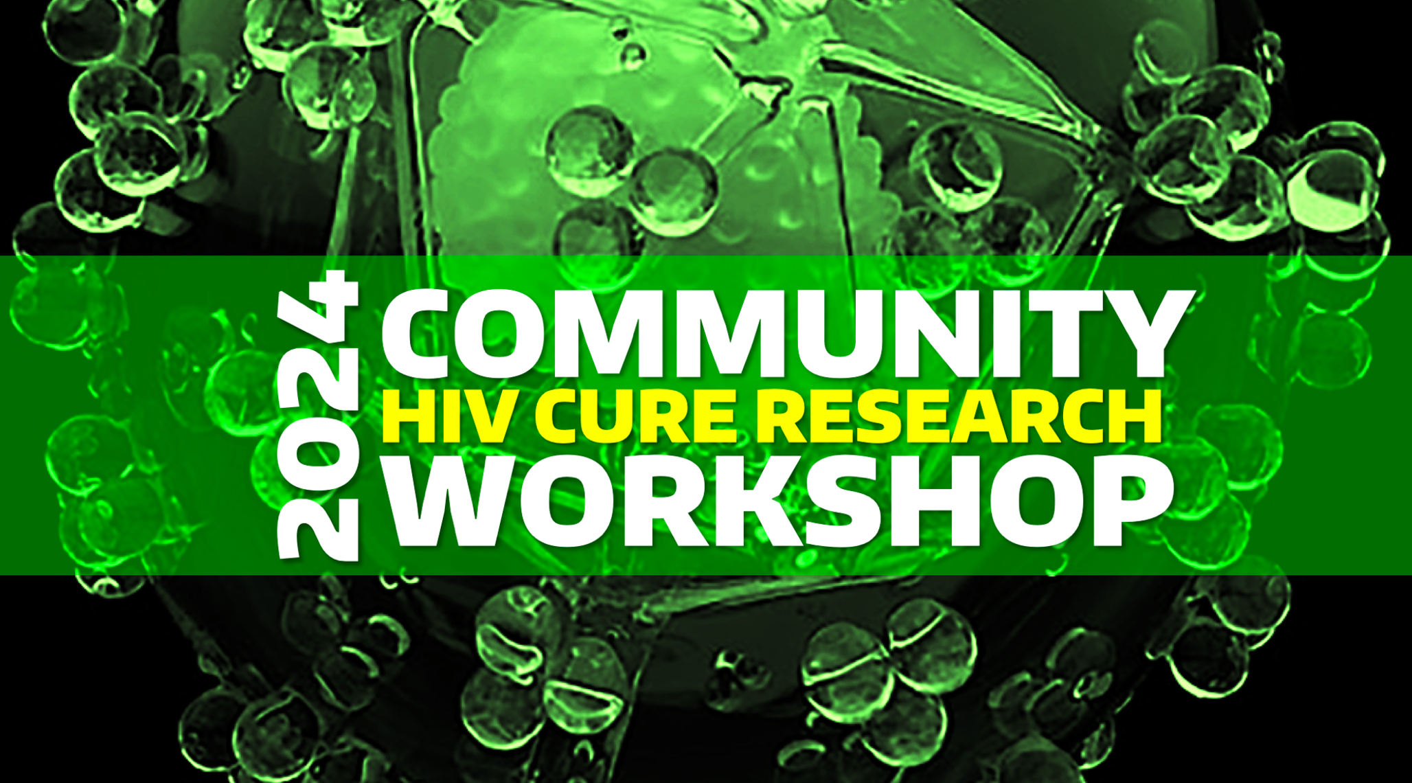 Image that reads: 2024 HIV Cure Research Community Workshop. White text on a mostly green background